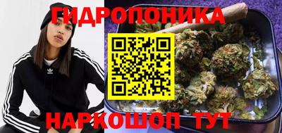 шишки Туймазы