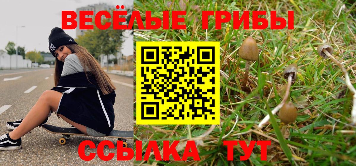 Нефтеюганск  Псилоцибиновые грибы Cubensis  Вход с VPN 